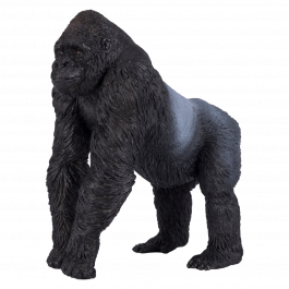 【超ポイント祭?期間限定】 381003_gorilla_male_silverback 邦楽