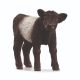 Schleich Farm World Galloway Calf 13969