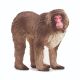 Schleich Wild Life Japanese Macaque14871