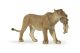 Papo Wild Life Leeuwin met Welp 50043