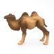 Papo Wild Life Bactrische Kameel 50129