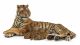 Papo Wild Life Liggende Tijger met Welpjes 50156