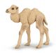 Papo Wild Life camel calf 50221
