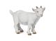 Papo Farm Life White kid goat 51146