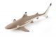 Papo Wild Life Blacktip reef shark 56034