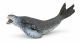 Papo Wild Life Leopard seal 56042