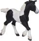 Papo Horses Black piebald cob foal 51508