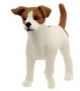 Schleich Farm World Hond Jack Russell Terrier 13916 