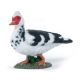 Papo Wild Life Muscovy duck 51189