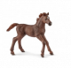 Schleich 13857 English thoroughbred foal