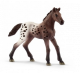 Schleich 13862 Horse Appaloosa, foal