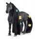 Schleich Horse Club Sofia's Beauties Beauty Horse Criollo Definitiv Mare 42581