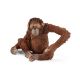 Schleich 14775 Orangutan, female