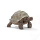 Schleich Wild Life 14824 Giant Tortoise