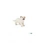 Papo Wild Life Witte Leeuwenwelp 50076