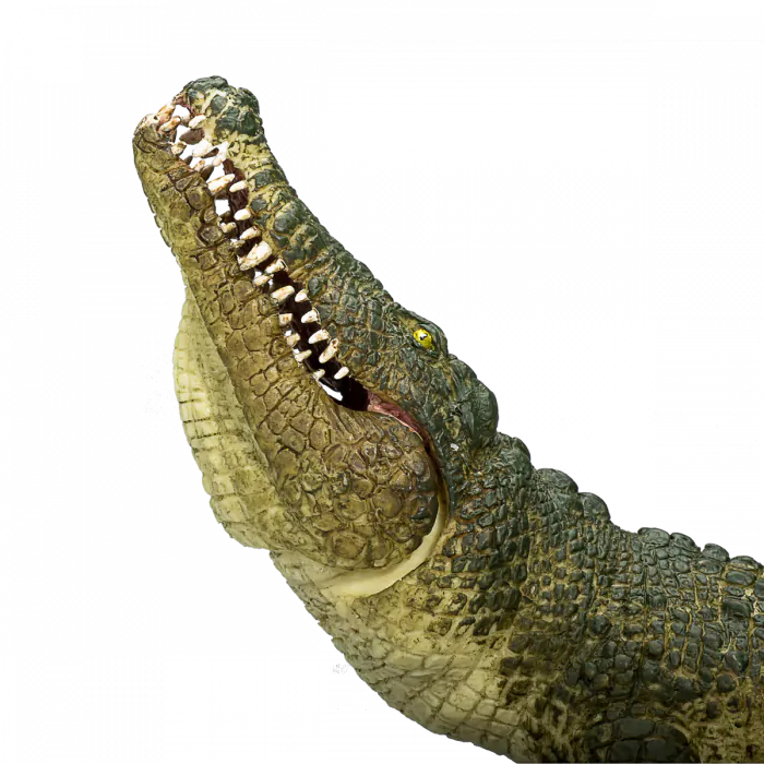 最安 Mojo Wild Life Crocodile with Articulated Jaw 387162 ミュージシャン