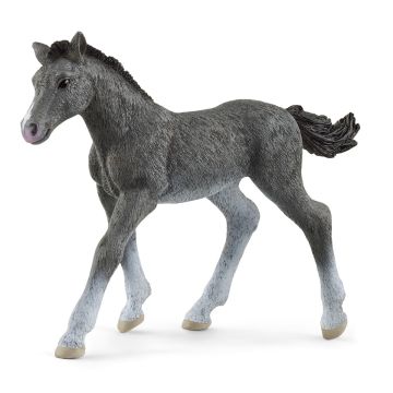 Schleich Horse Club Trakehner Foal 13944
