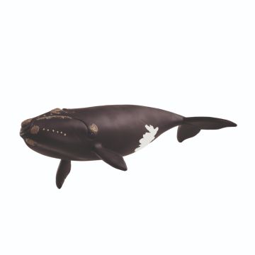 Schleich Wild Life North Atlantic Whale 14878