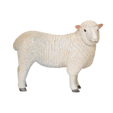 Mojo Farmland Romney Sheep Ewe 381064