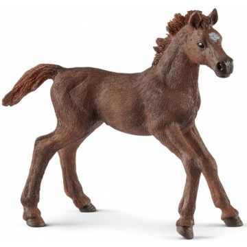 Schleich Horse Club English Thoroughbred Foal 13857