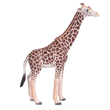 Mojo Wild Life Giraffe Male 381008