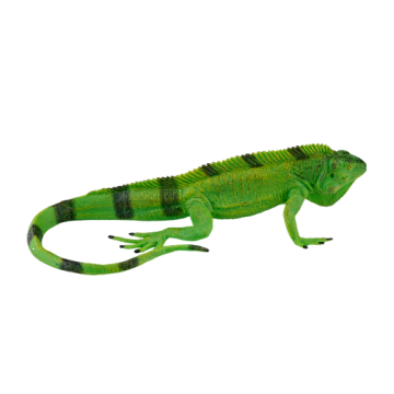 Mojo Wild Life Iguanas 381095