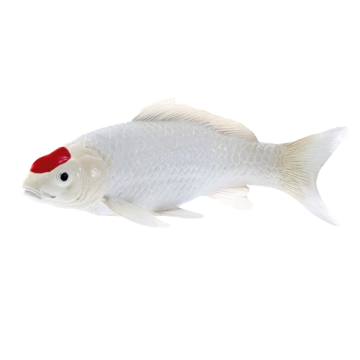 Mojo Farmland Koi Carp - Tancho Koi (red dot) 381101