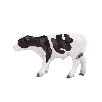 Mojo Farmland Holstein Calf standing 387061