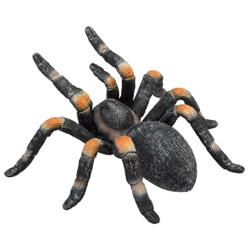 Mojo Wild Life Red Kneed Tarantula 387213