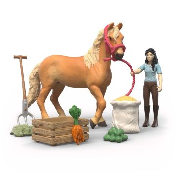 Schleich Horse Club Emily’s Care Set 42797