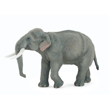 Papo Wild Life Asian Elephant 50131