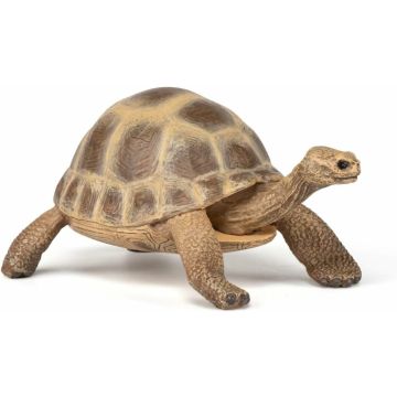 Papo Wild Life Hermann's tortoise 50264