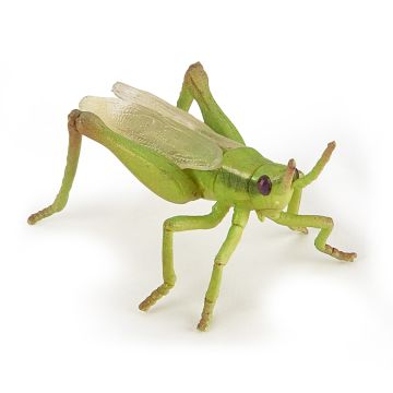 Papo Wild Life Grasshopper 50268
