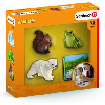 Schleich Wild Life Learning Cards 42474
