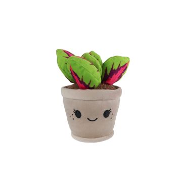 Take Me Home Prints L Plush Calathea 24 cm 661166