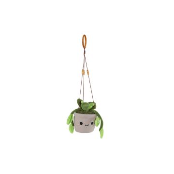 Take Me Home Hanging Plant L Plush Peperomia 24 cm 661179