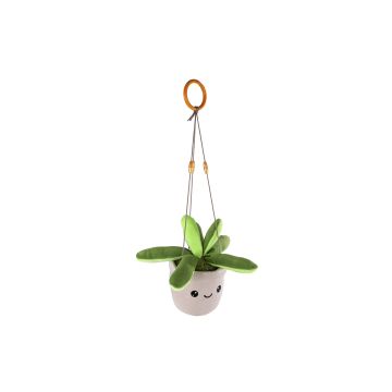 Take Me Home Hanging Plant L Plush Succulent 24 cm 661179