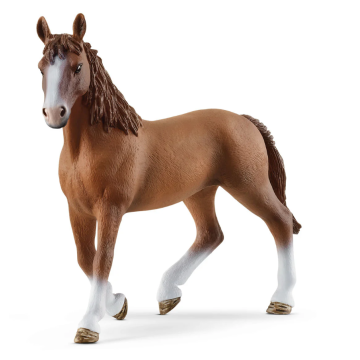 Schleich Horse Club French Saddle Horse Stute 72213 Exclusive Schleich Horse Club French Saddle Horse Stute 72213 Exclusive