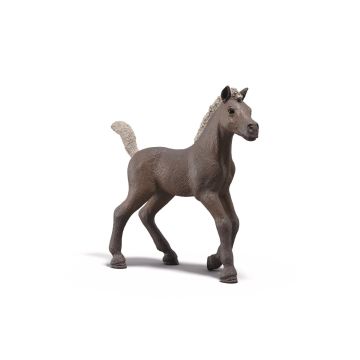 Schleich Horse Club Collectible Foal Darcy 81460