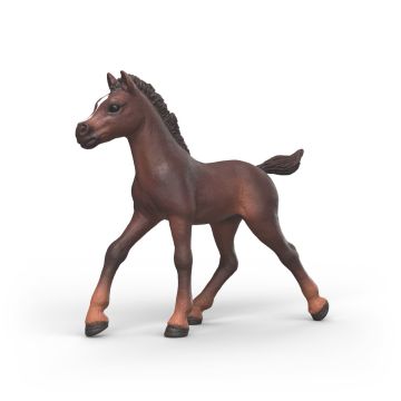 Schleich Horse Club Collectible Foal Ravi 81479