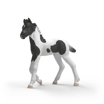 Schleich Horse Club Collectible Foal Rocky 81481