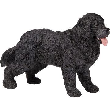 Papo Wild Life Newfoundland 54018 