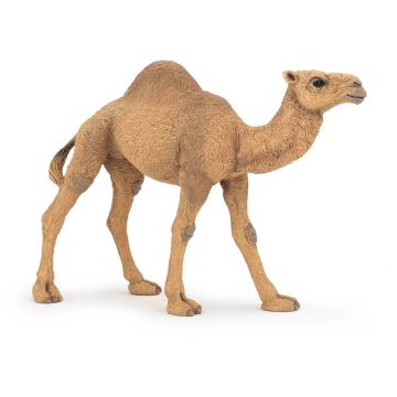 Papo Wild Life Dromedary 50151