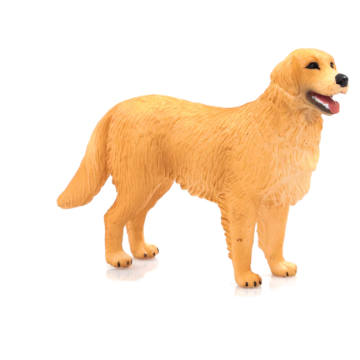 Mojo Farmland Golden retriever 387198