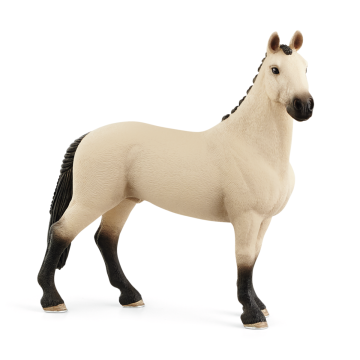 Schleich Horse Club Horse Hanover Falbe gelding 13928 