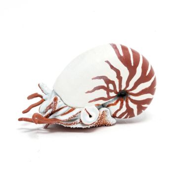 Papo Wild Life Oceaan Nautilus 56061