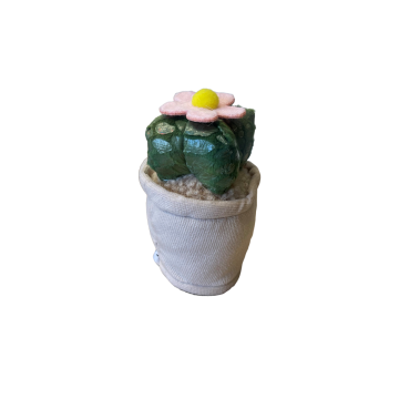 Take Me Home plant plush Cactus with flower 12-17cm 660620