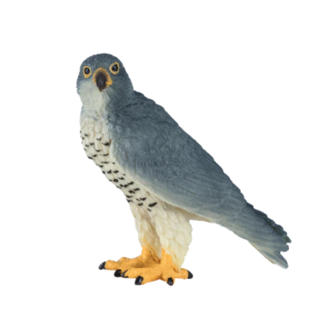 Mojo Wild Life Peregrine Falcon 381056 Mojo Wild Life Peregrine Falcon 381056