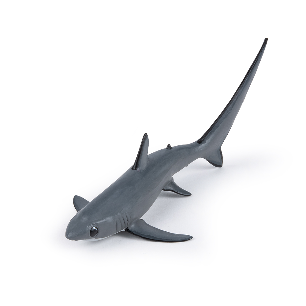 サメ フィギュア 3点セット SHARKS OF THE WORLD サメ フィギュア 3点セット SHARKS OF THE WORLD いろんな形のサメ
