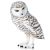 Papo Wild Life Snowy owl 50167 